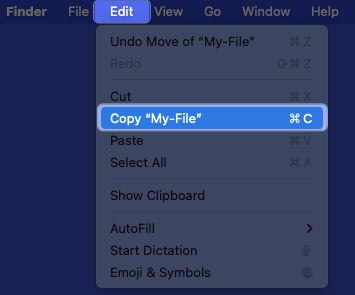 Tap Edit and Select Copy and file