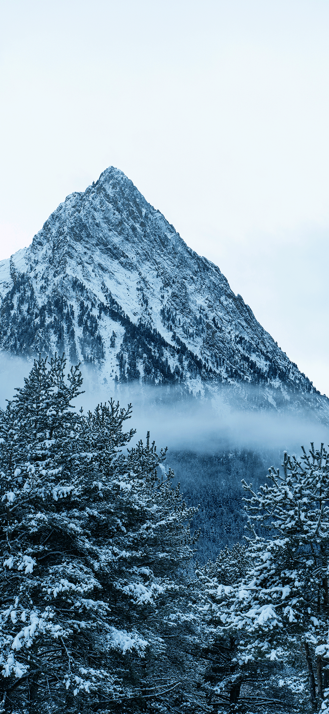 Winter Mountain Wallpaper