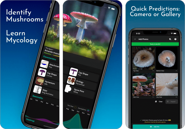 ShroomID App Identify Mushrooms