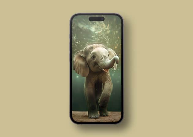 Adorable Elephant 4K wallpaper