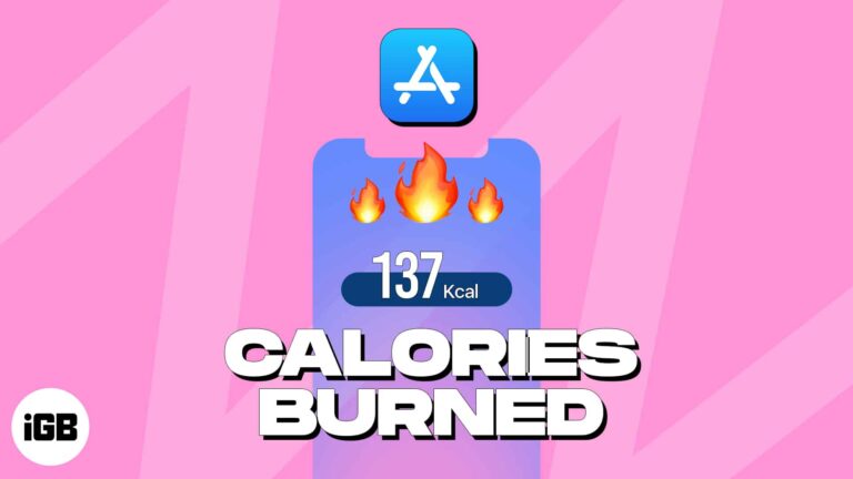 Best calorie counter apps for iphone