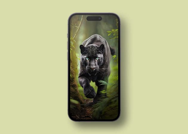 Black Panther raging HD iPhone wallpaper