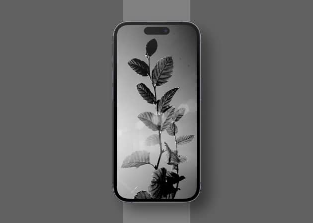 Black iPhone Wallpapers in 2024 - 93