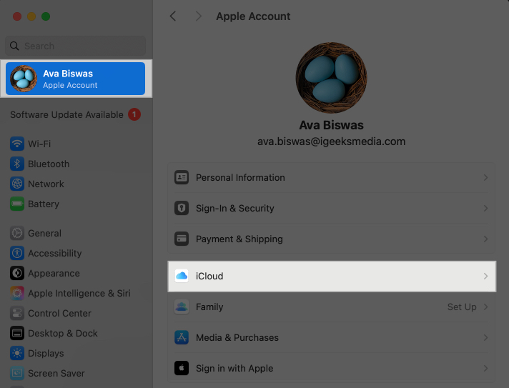 Click Apple ID and select iCloud.