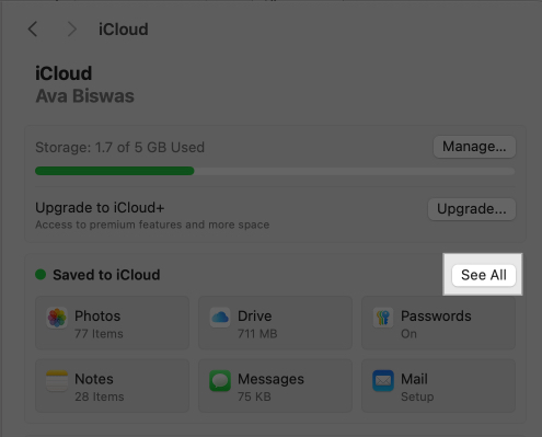 Click See All to manage apps and features synced to iCloud.