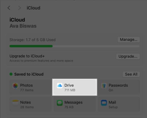 17 best iCloud tips and tricks you must know 2025 Click iCloud Drive in iCloud on Mac