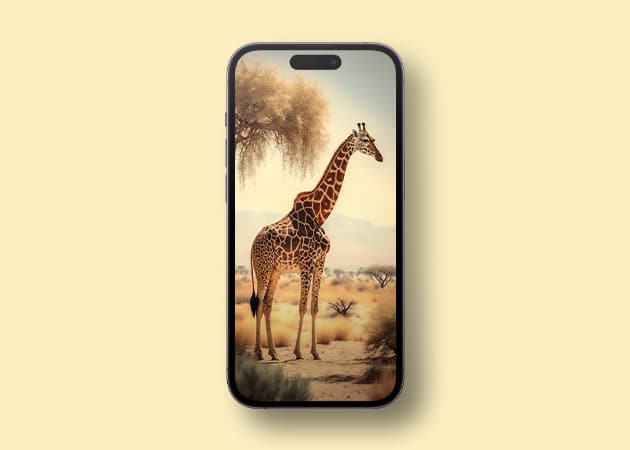 Giraffe HD wild animal wallpaper