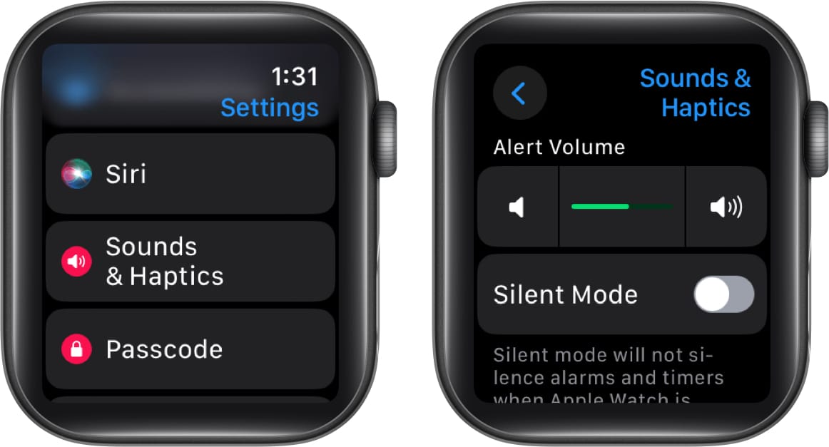 Pergi ke Sound and Haptics dan laraskan kelantangan pada Apple Watch