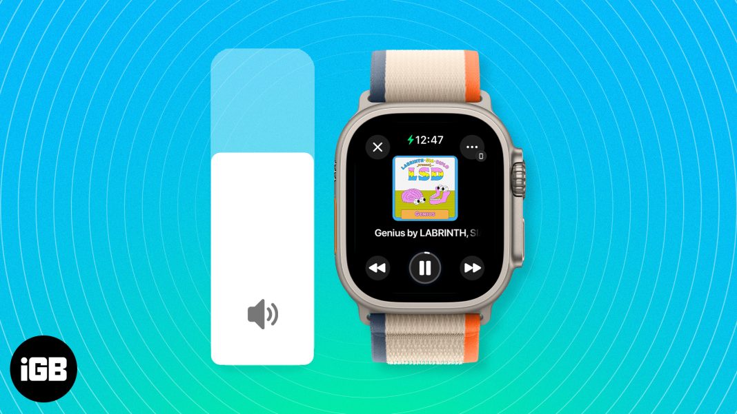How to change volume on Apple Watch  2 Ways explained - 3