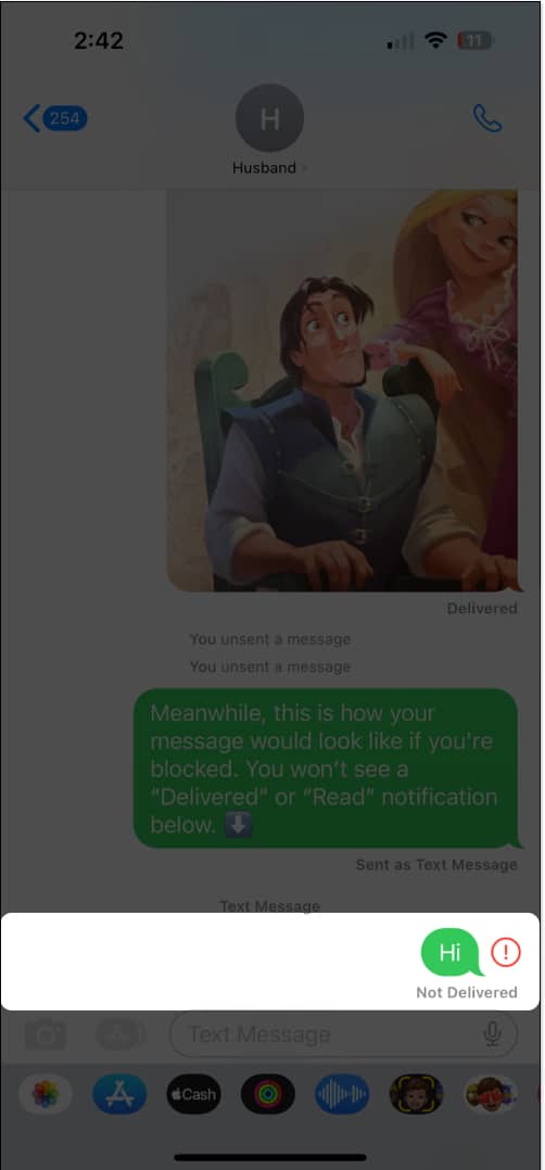 Message not Delivered on iMessage