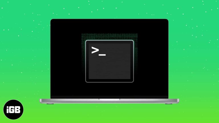 Most useful Terminal commands for macOS (2024)