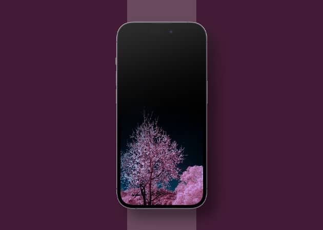 Black iPhone Wallpapers in 2024 - 70