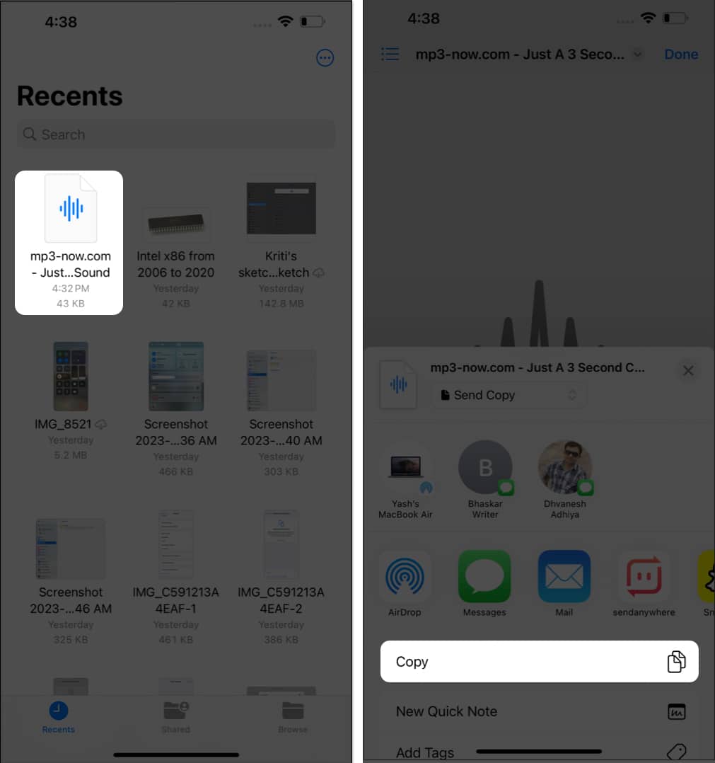 Press and hold the audio file, tap copy in Files app