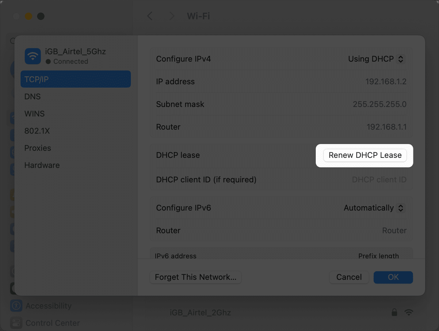 Renew DHCP Lease option in TCP IP settings in Wi Fi details page under System Settings