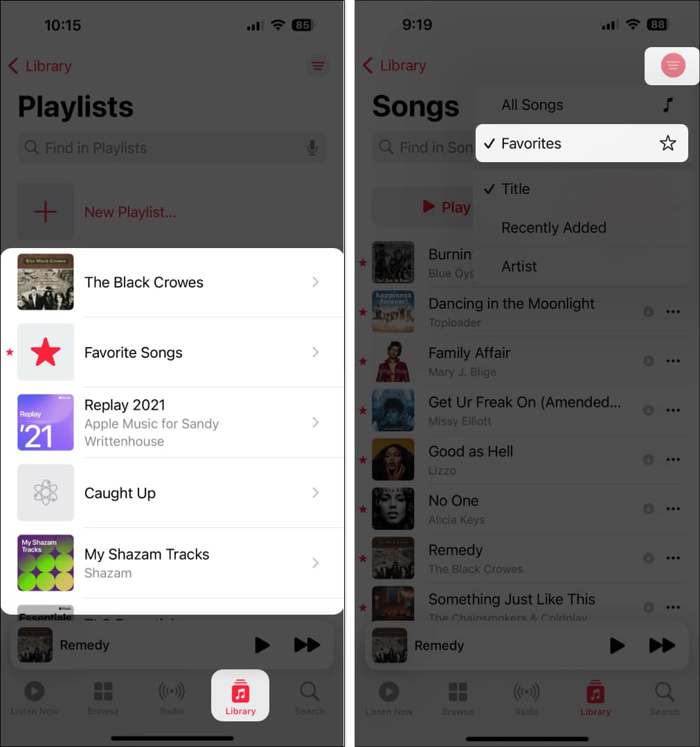 Select Library and Select artist, album or songs and select filter and choose Favorite
