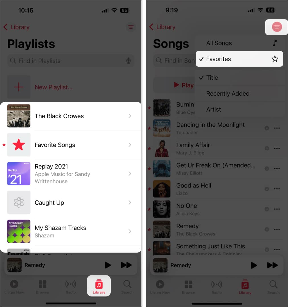 Select Library and Select artist album or songs and select filter and choose Favorite
