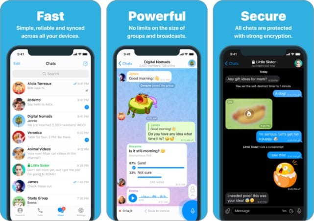 Telegram Messenger iPhone Screenshot