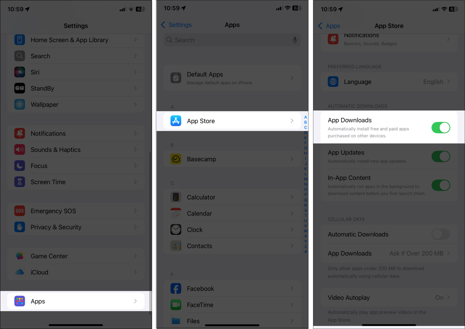 Turn on App Downloads in App Store iOS Settings.