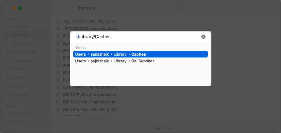 Type Library Caches and press return