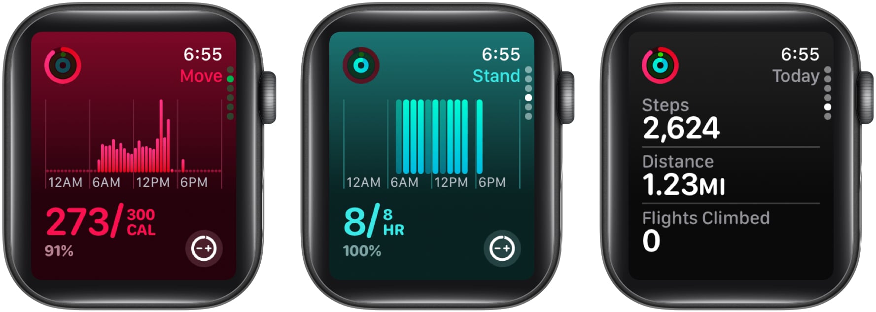 see Move, Exercise, and Stand data, along with the number of steps taken, distance walked, and flights of stairs climbed