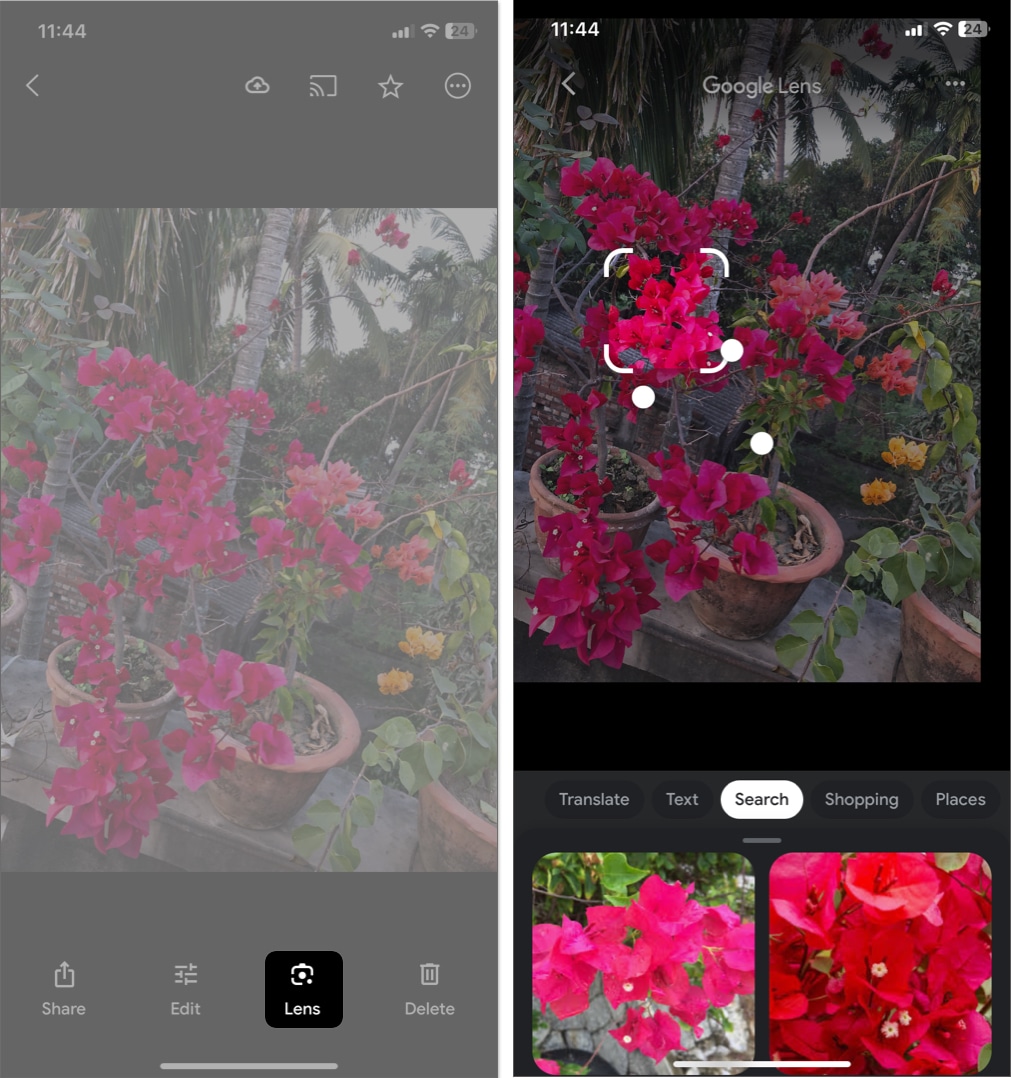 tap lens in google photos