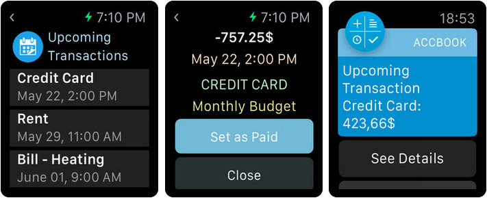 Account Book Money Manager Apple Watch App Screenshot