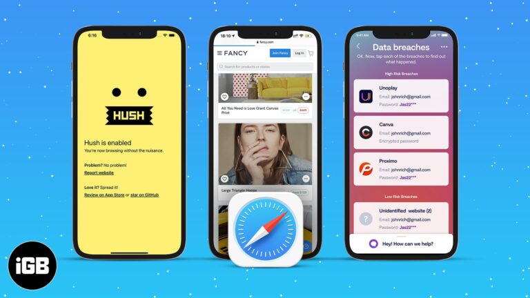 20+ Best Safari extensions for iPhone and iPad in 2024