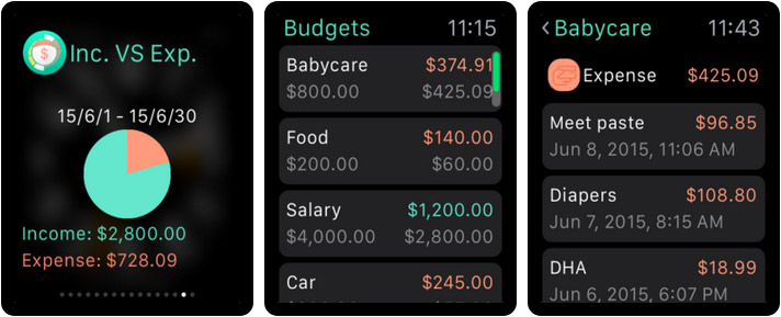Budget Wiz Apple Watch Expense Manager App Screenshot