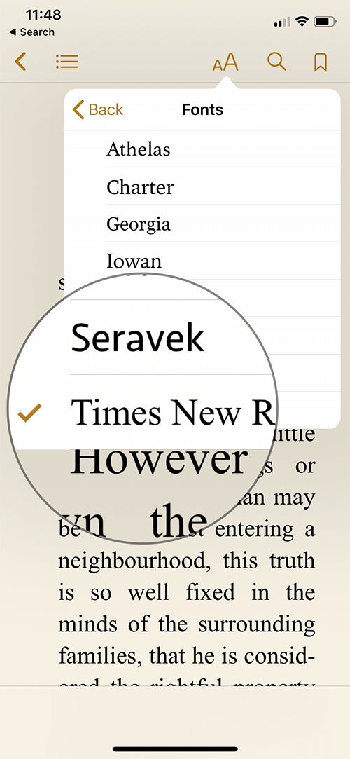 How to Make iBook More Readable By Tweaking the Fonts and Theme - 75
