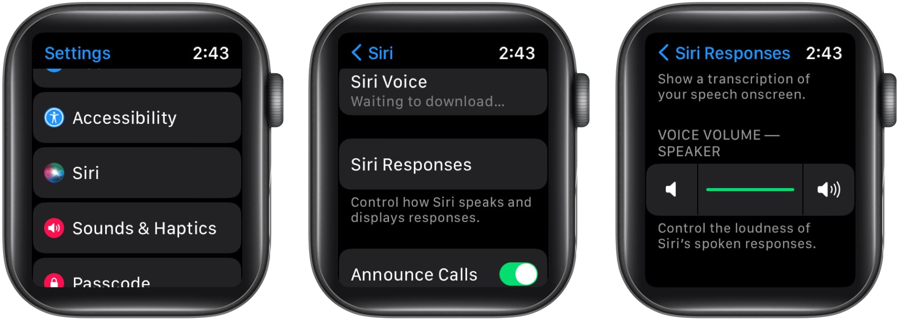 Check Siri volume on Apple Watch