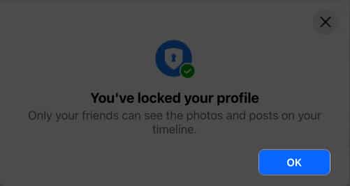 Click OK to lock your profile