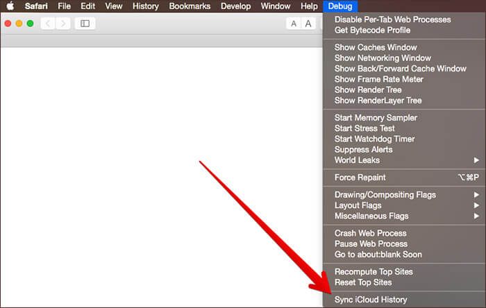 Click Sync iCloud History in Safari Debug Menu