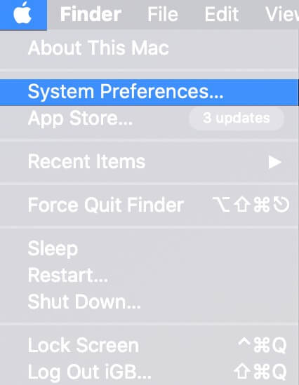 Click on Apple Logo and Select System Preferences on Mac