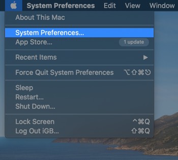 Click on Apple logo from top left and then click on System Preferences on mac