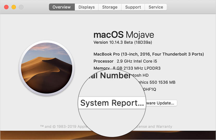 Click on System Report on Mac