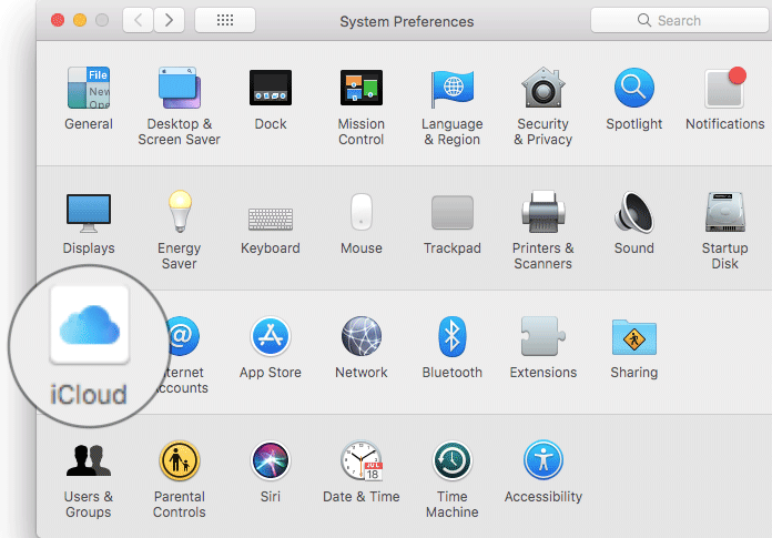 Click on iCloud in Mac System Preferences