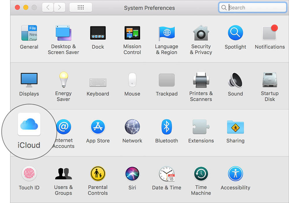 Click on iCloud in System Preferences on Mac