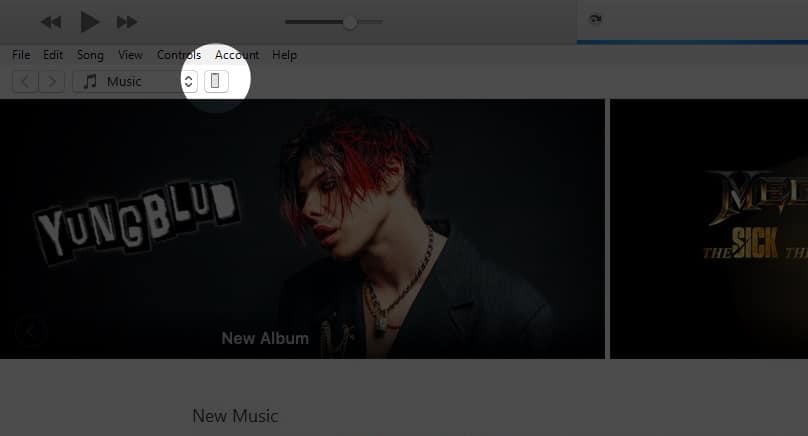 Click on the iPhone icon in the iTunes window