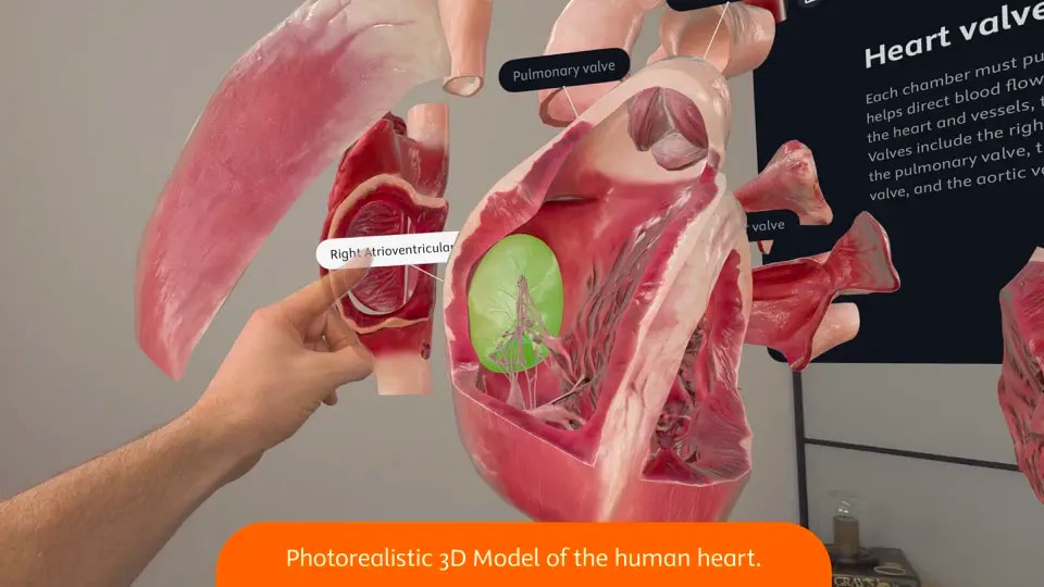 Complete HeartX - realistic 3D human heart on Vision Pro