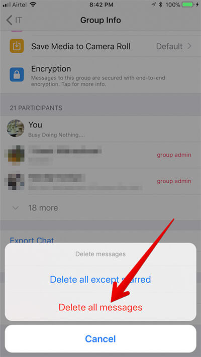 Delete Individual-Group Chat History In WhatsApp
