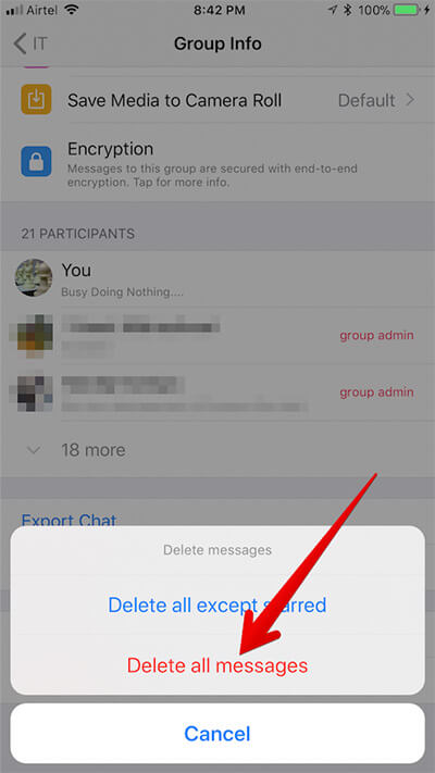 Delete Individual Group Chat History In WhatsApp