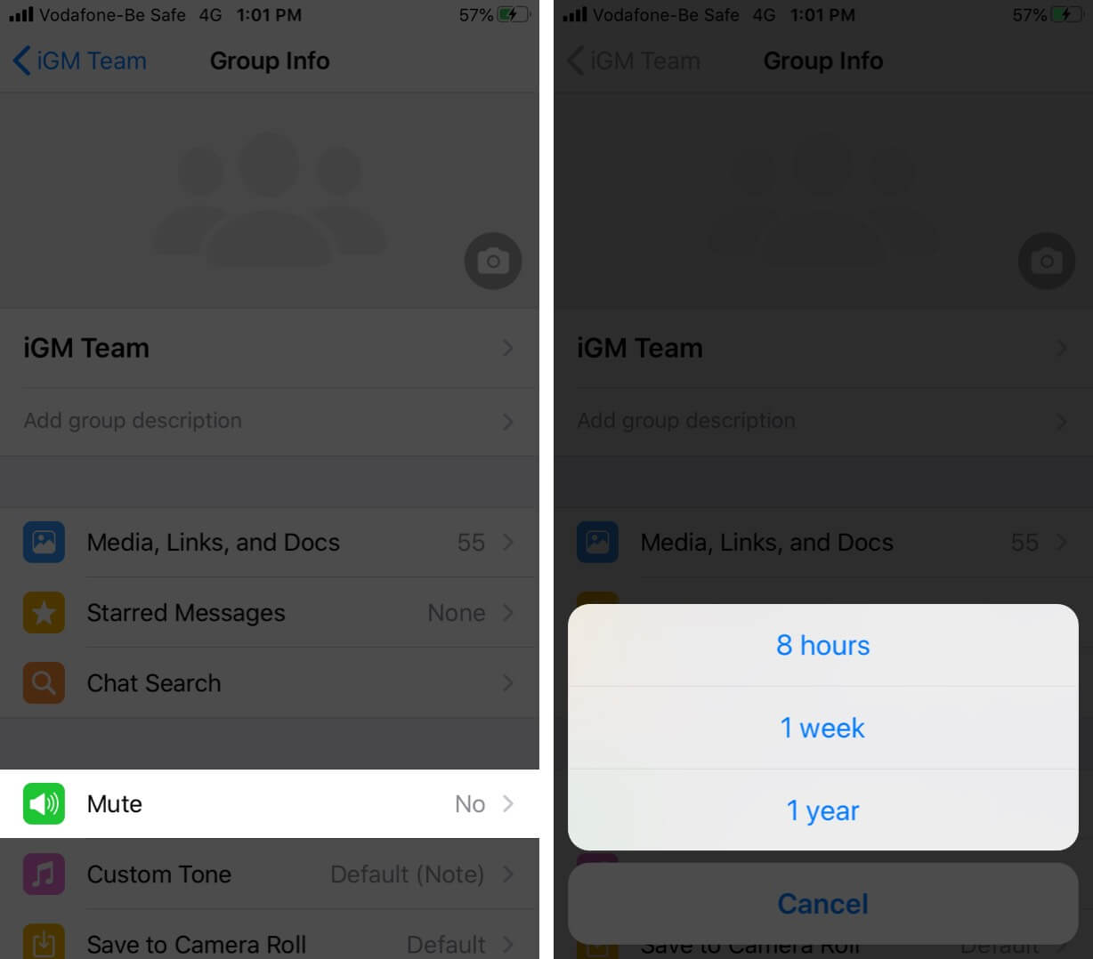 How to Mute WhatsApp Group Notifications on iPhone - 75