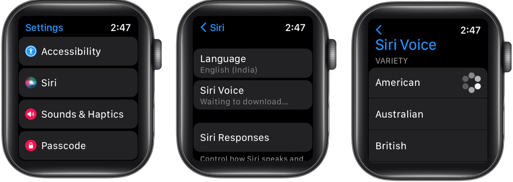 Download Siri Voice on Apple Watch