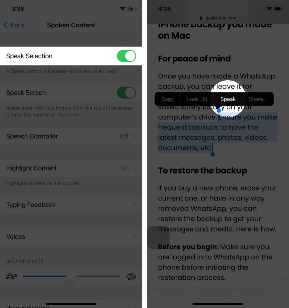 Enable Speak Selection to make Siri read text on iPhone