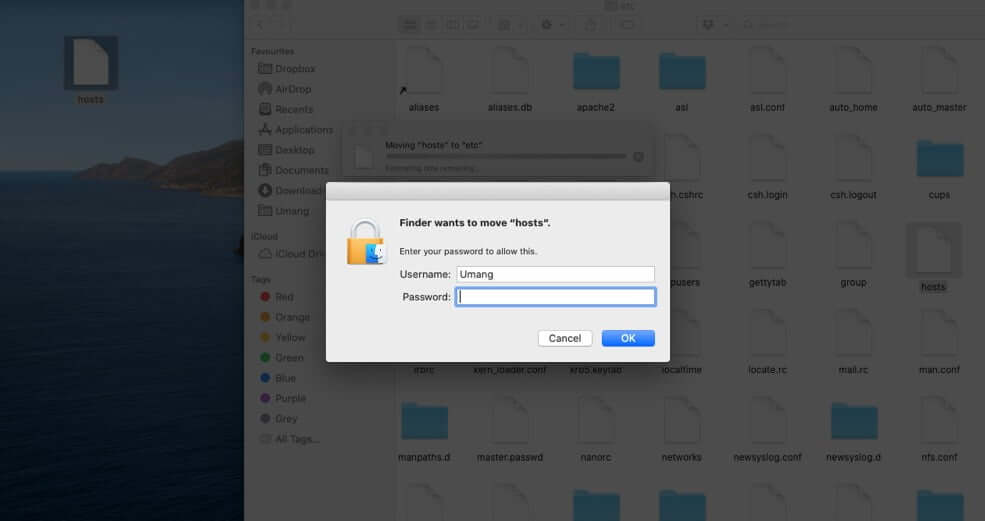 Enter Mac Password and Click on OK to Restore Hosts File Back to Default in macOS