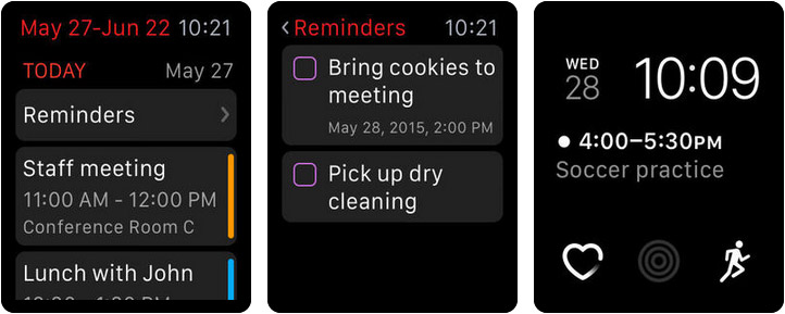 Fantastical 2 Apple Watch Reminder App Screenshot