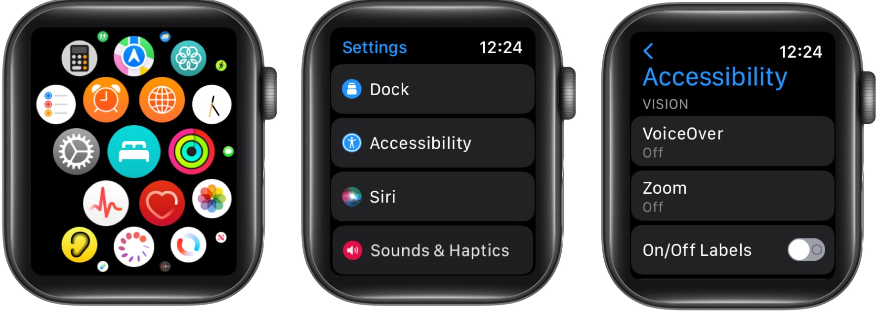 Go to Accessibility on Apple Watch