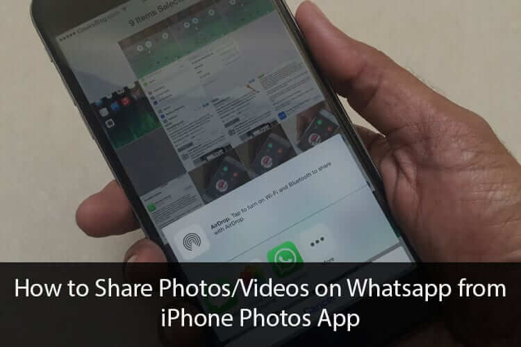How to Share Photos Videos on Whatsapp from iPhone Camera Roll - 29