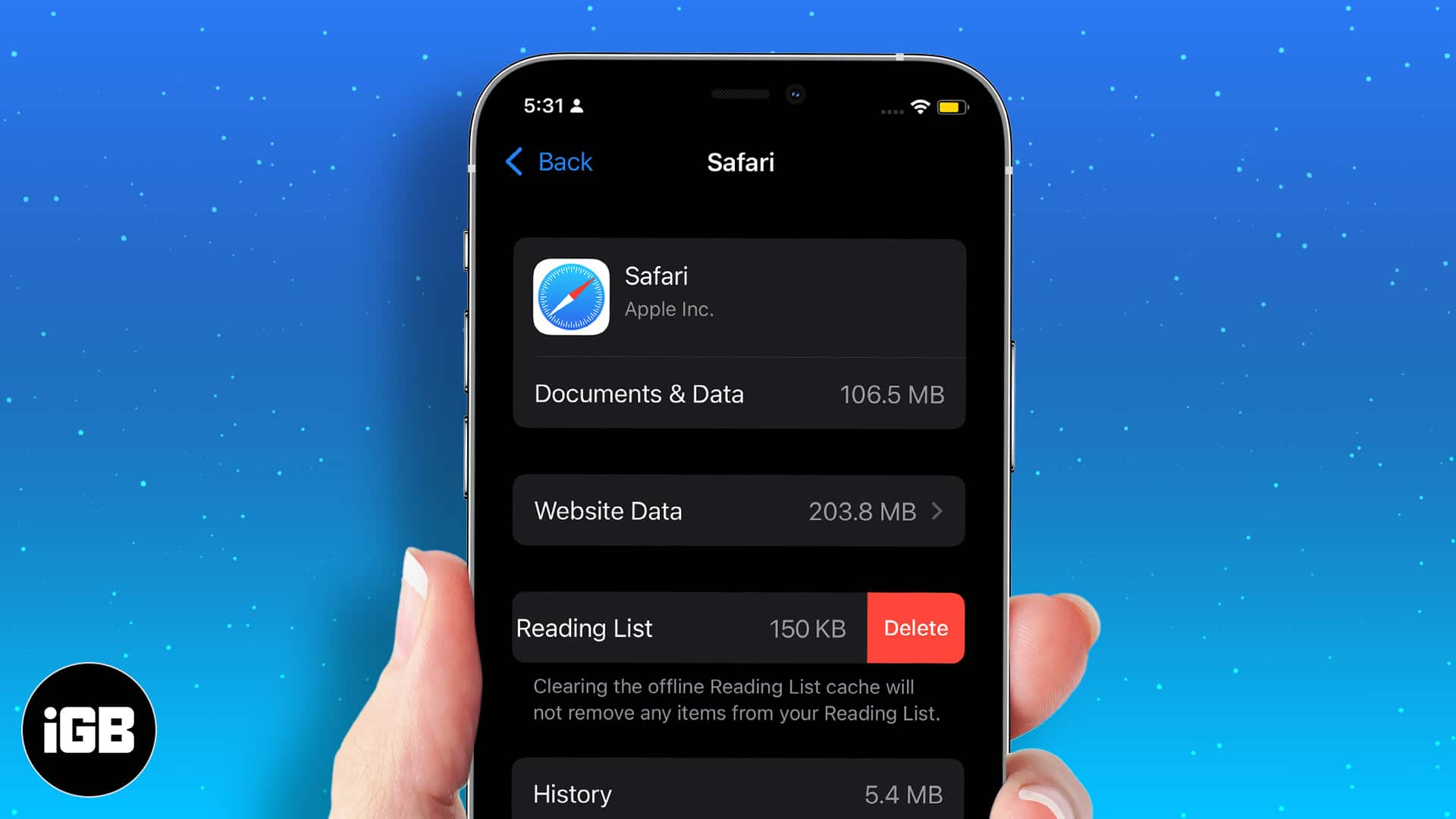 How to clear safari offline reading list cache on iphone