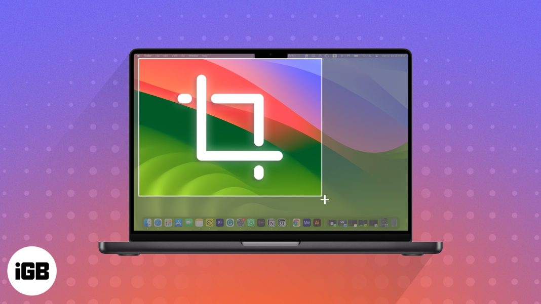 How to crop a screenshot on Mac  5 Quick ways - 17